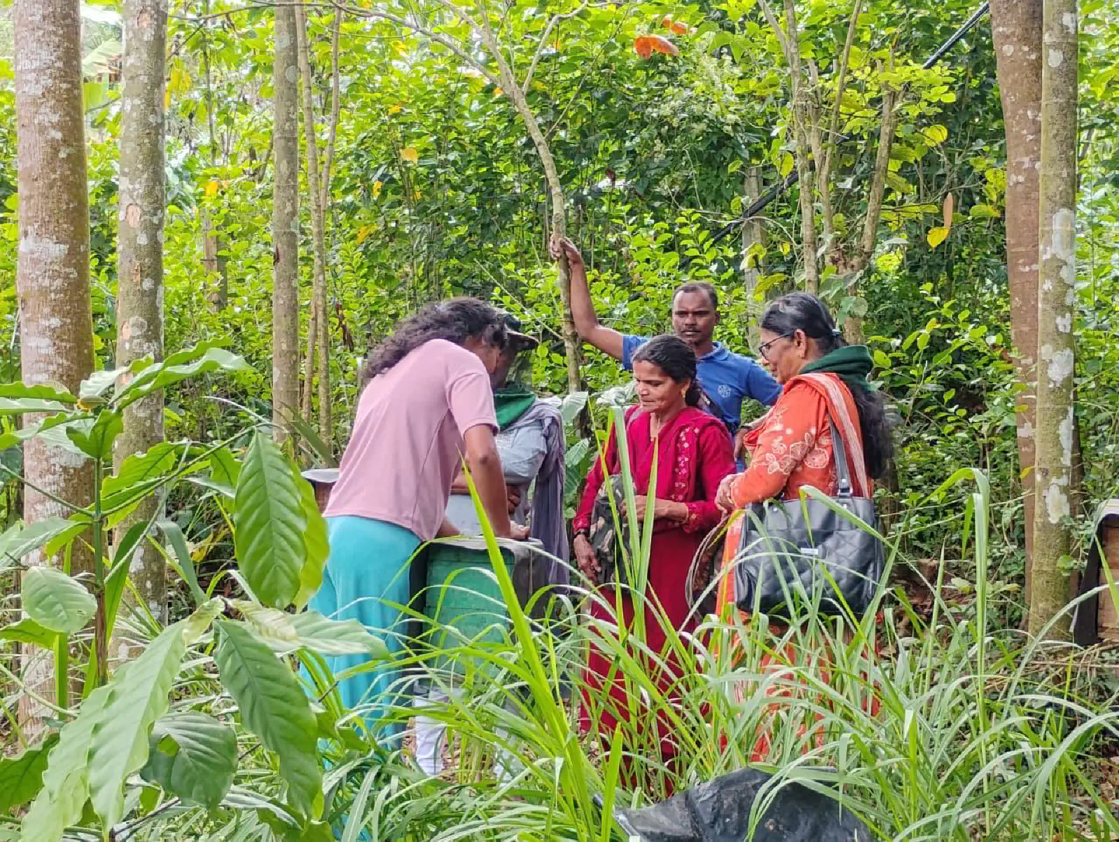 Supporting Tribal Livelihoods