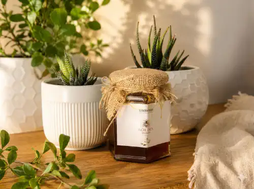 Ginger Honey 250gm