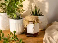 Ginger Honey 250gm thumbnail